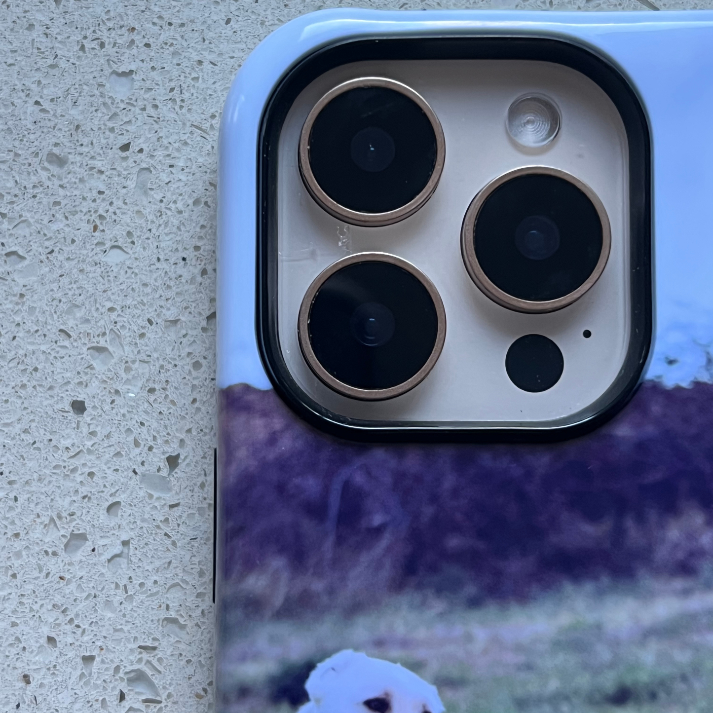 iPhone 16 Pro - Coque personnalisée