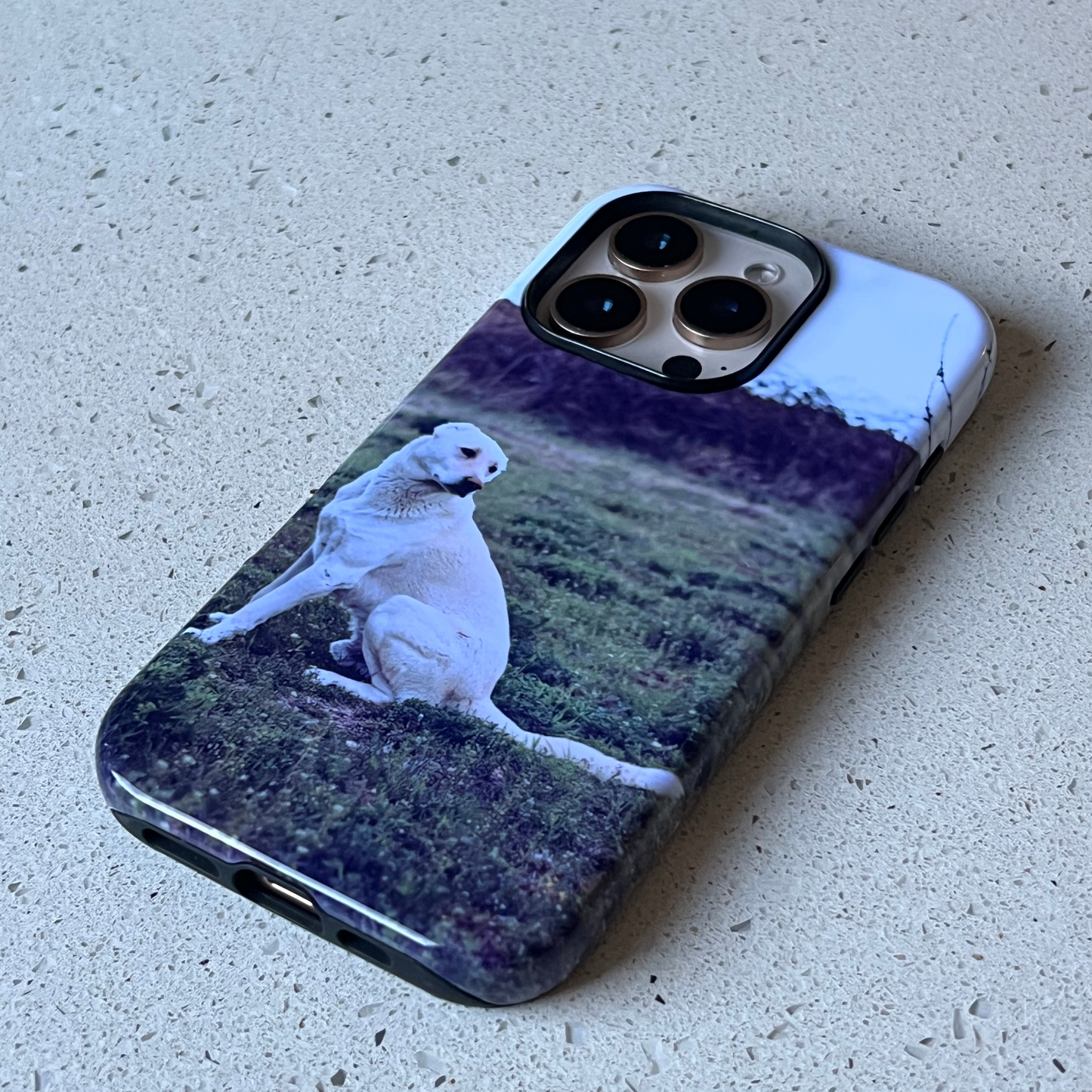 iPhone 16 Pro - Coque personnalisée