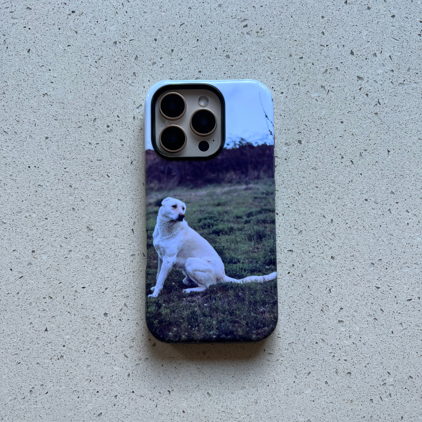 iPhone 16 Pro - Coque personnalisée